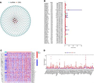 Frontiers Comprehensive Analysis Of The Prognostic Signature And